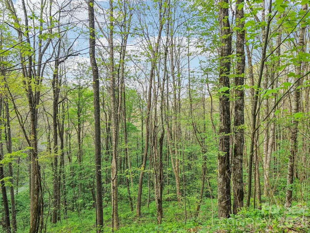 00 Star Crest Drive Waynesville, NC 28785
