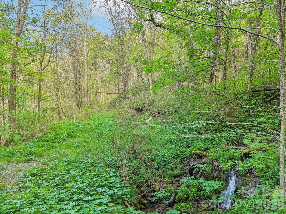 00 Star Crest Drive Waynesville, NC 28785