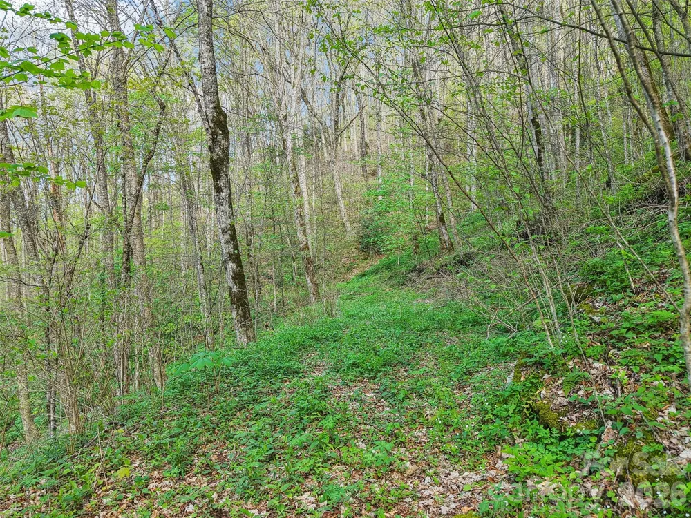 00 Star Crest Drive Waynesville, NC 28785
