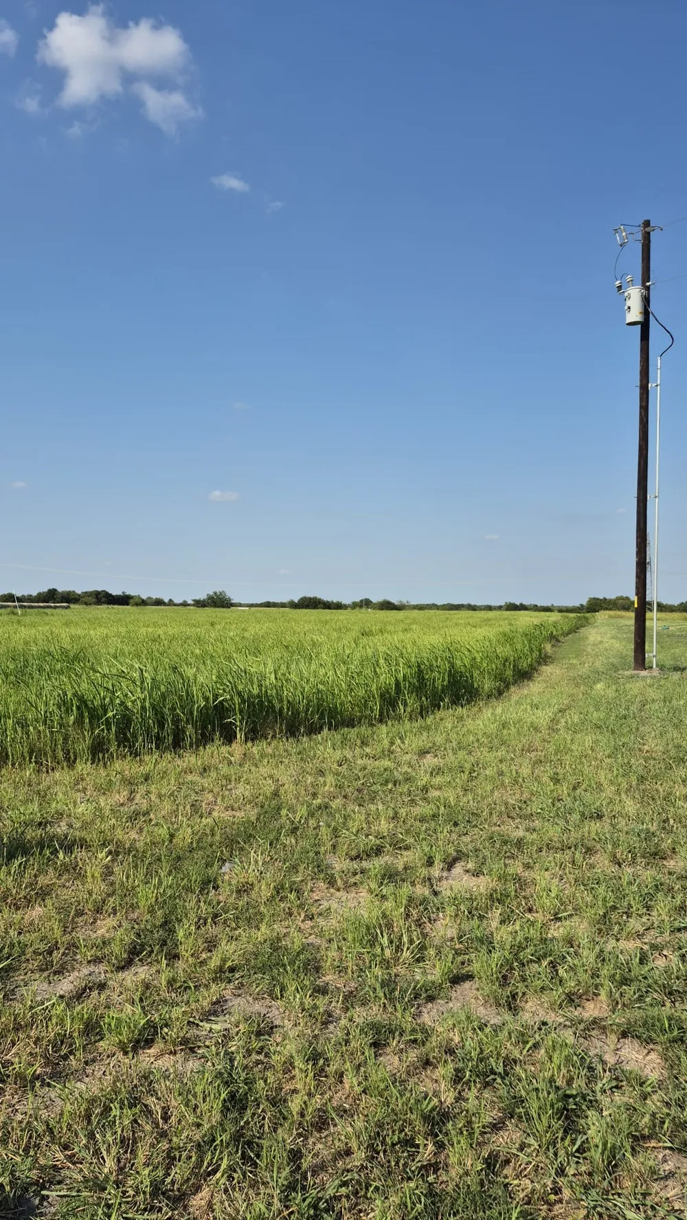 691 FARMER ROAD Ennis, TX 75119