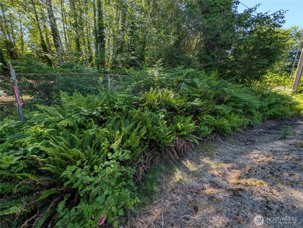 181327 Hwy 101 Highway Forks, WA 98331