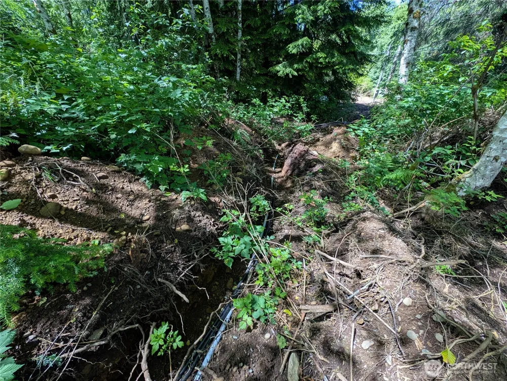 181327 Hwy 101 Highway Forks, WA 98331