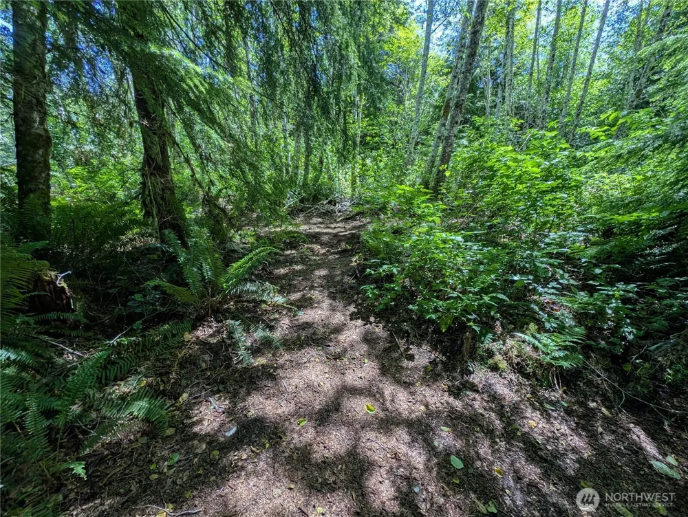 181327 Hwy 101 Highway Forks, WA 98331