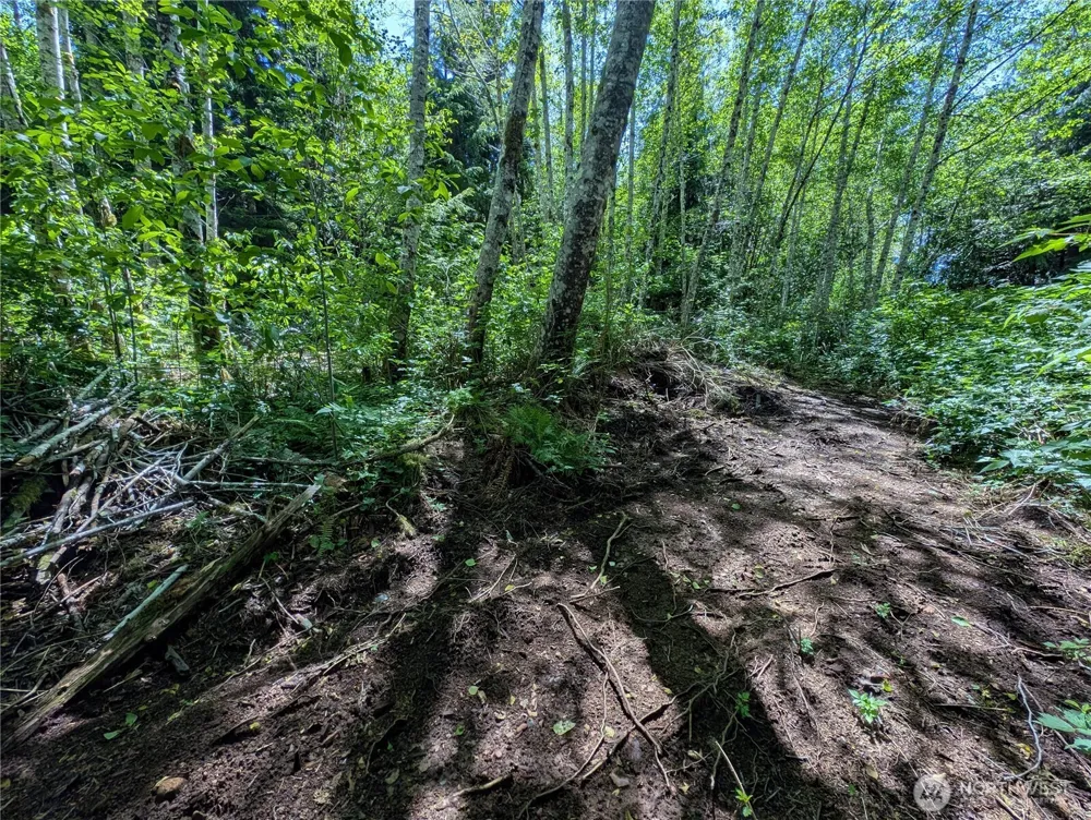 181327 Hwy 101 Highway Forks, WA 98331