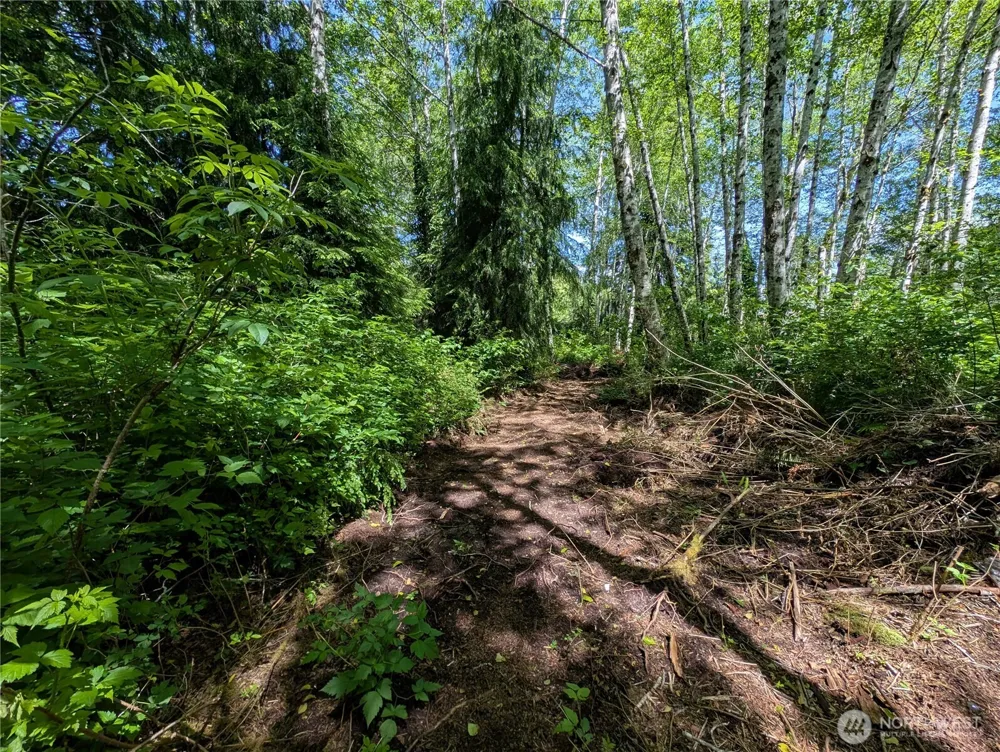 181327 Hwy 101 Highway Forks, WA 98331