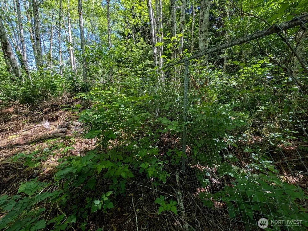 181327 Hwy 101 Highway Forks, WA 98331