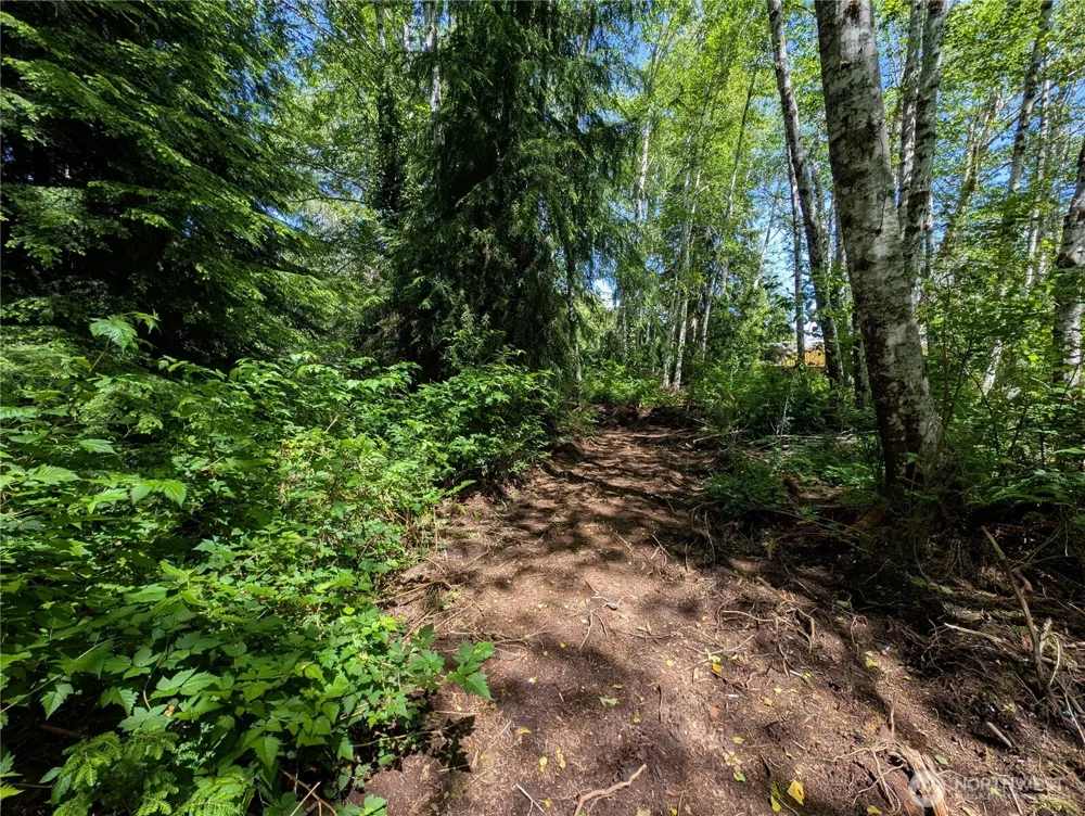 181327 Hwy 101 Highway Forks, WA 98331