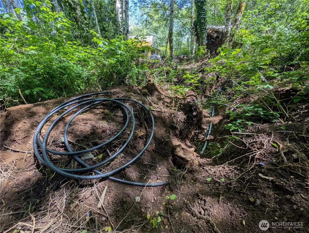 181327 Hwy 101 Highway Forks, WA 98331