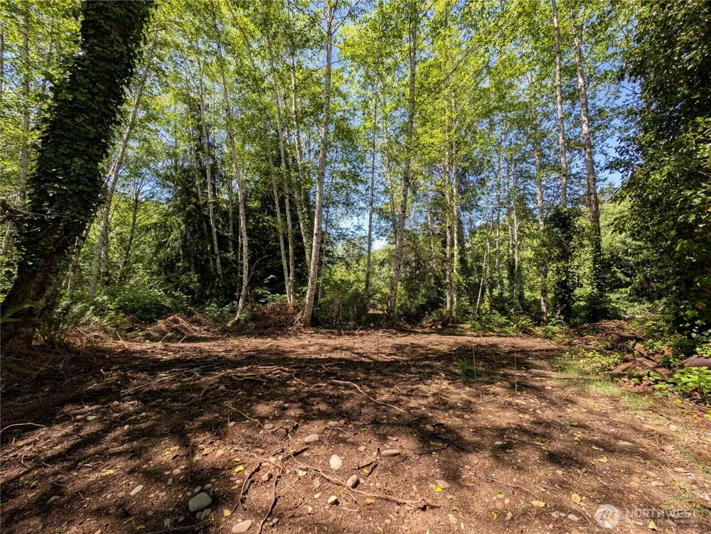 181327 Hwy 101 Highway Forks, WA 98331