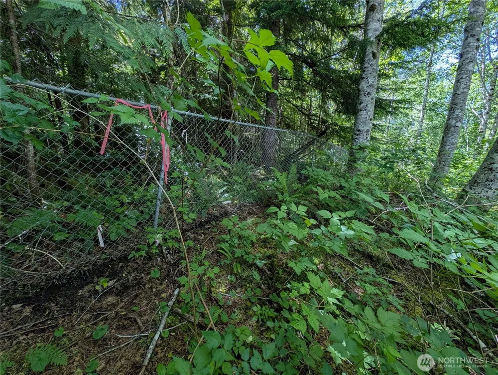 181327 Hwy 101 Highway Forks, WA 98331
