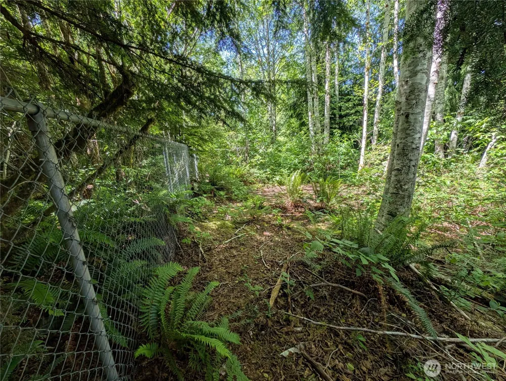 181327 Hwy 101 Highway Forks, WA 98331