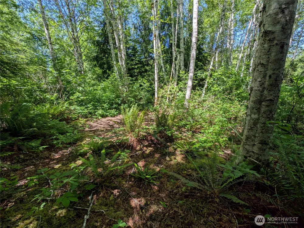 181327 Hwy 101 Highway Forks, WA 98331