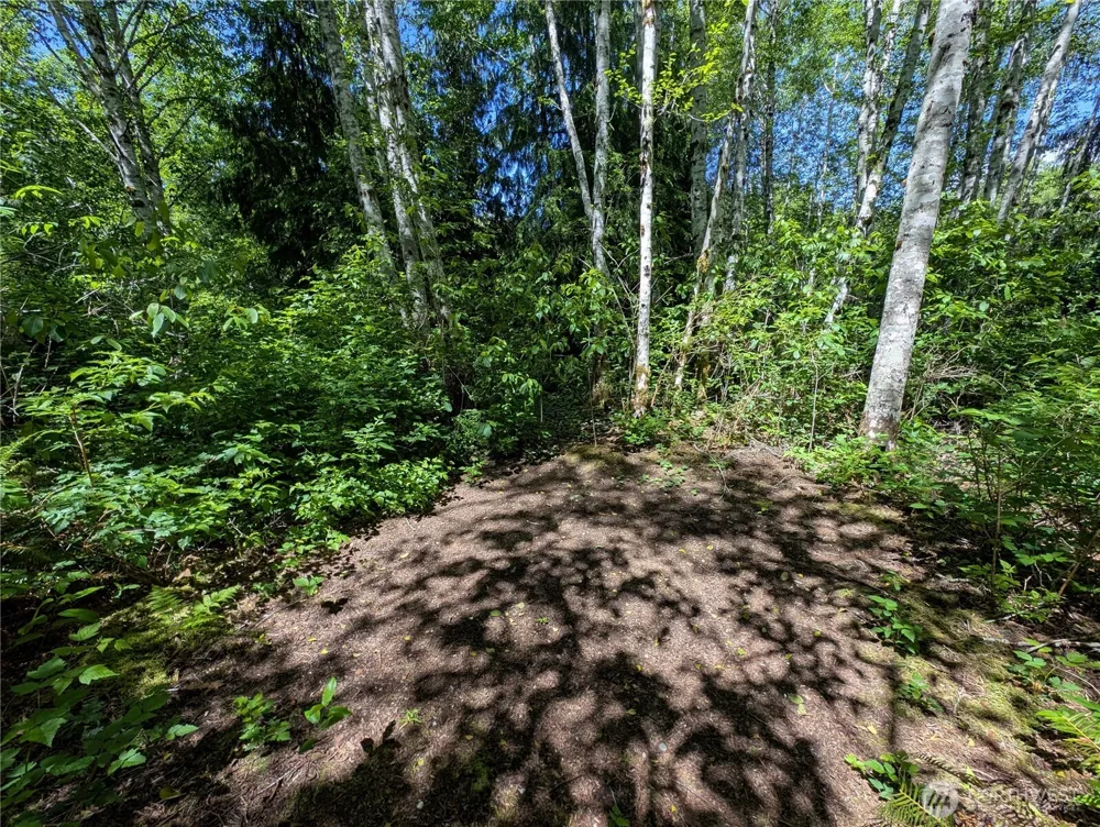 181327 Hwy 101 Highway Forks, WA 98331