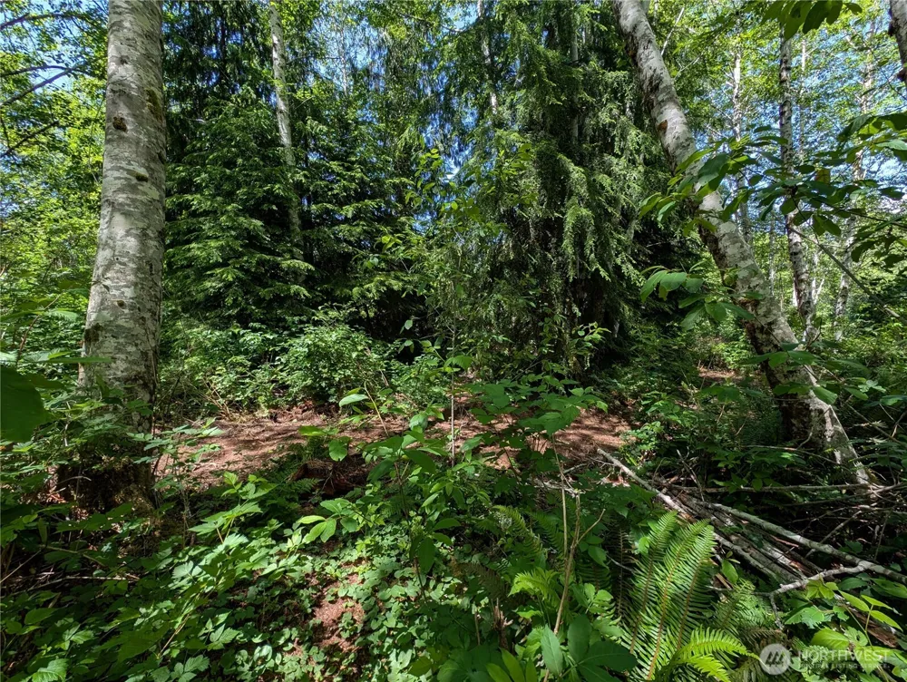 181327 Hwy 101 Highway Forks, WA 98331