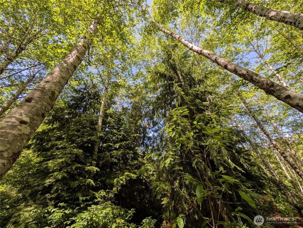 181327 Hwy 101 Highway Forks, WA 98331
