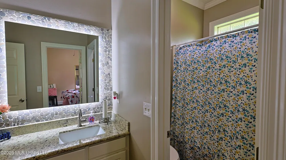 73 Dianne Cove Byram, MS 39272