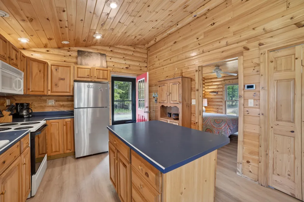 10844 Torchlight Lane Central Lake Township, MI 49622