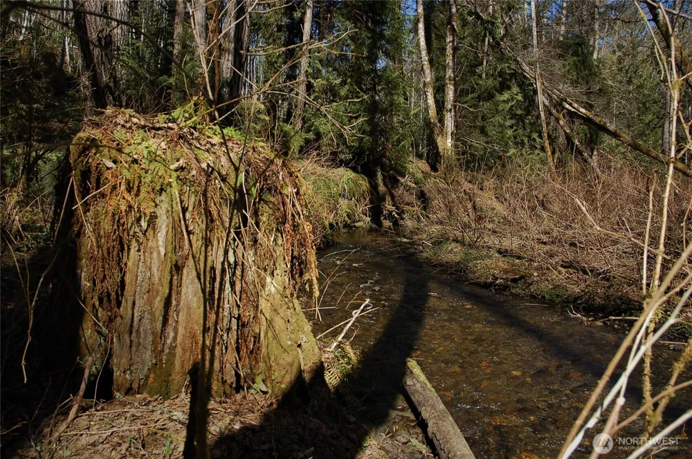 999 S Bagley Creek Road Port Angeles, WA 98362