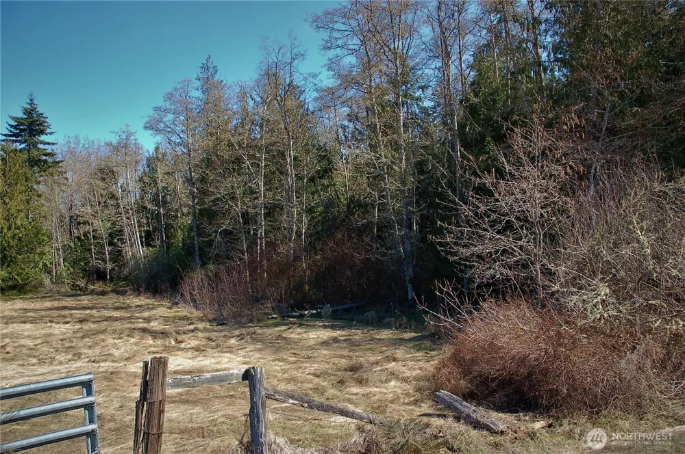 999 S Bagley Creek Road Port Angeles, WA 98362