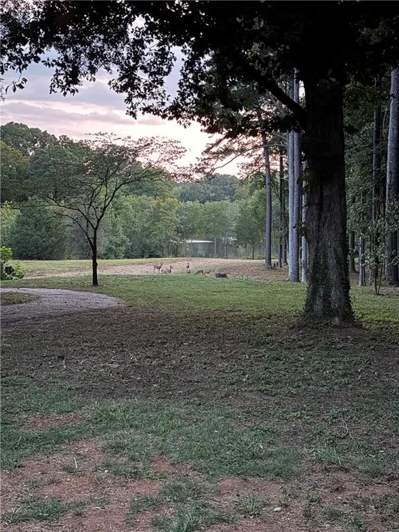 2217 Meadows Road Newborn, GA 30056