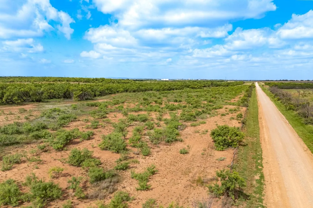 7734 W Overland Trail Abilene, TX 79603