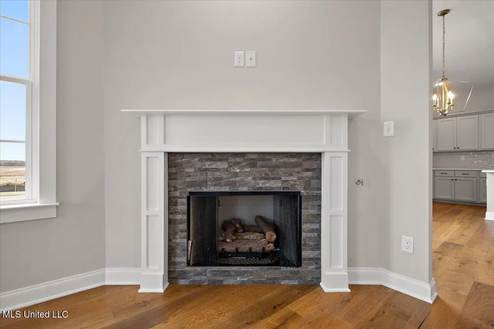 490 Bolivar Drive Nesbit, MS 38651