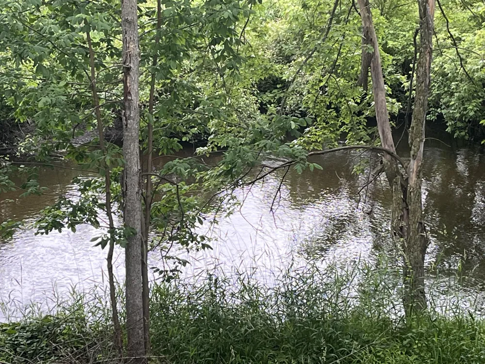 1172 Greenville Road Pine Township, MI 48888