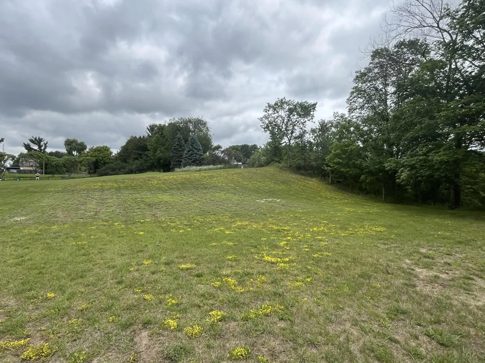1172 Greenville Road Pine Township, MI 48888