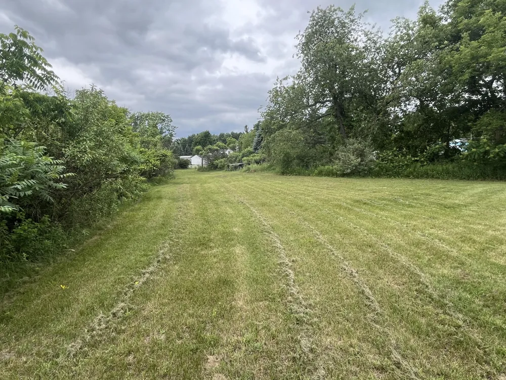 1172 Greenville Road Pine Township, MI 48888