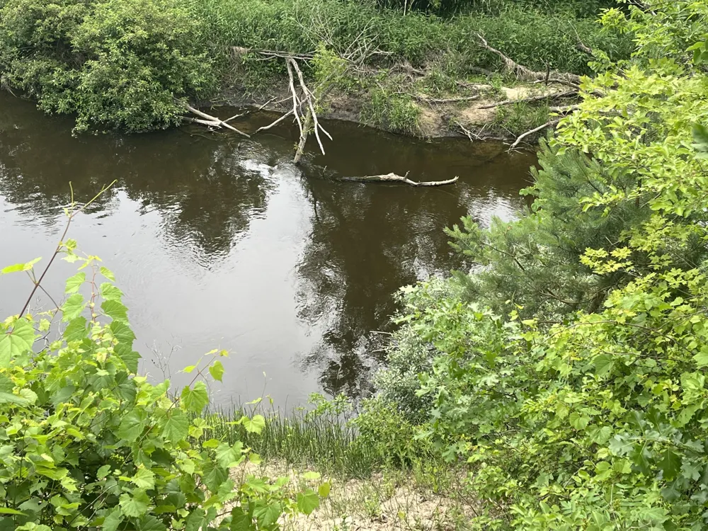 1172 Greenville Road Pine Township, MI 48888