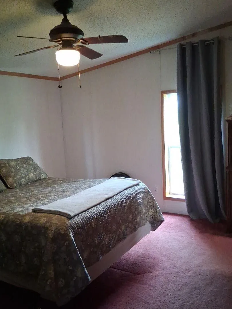 1172 Greenville Road Pine Township, MI 48888