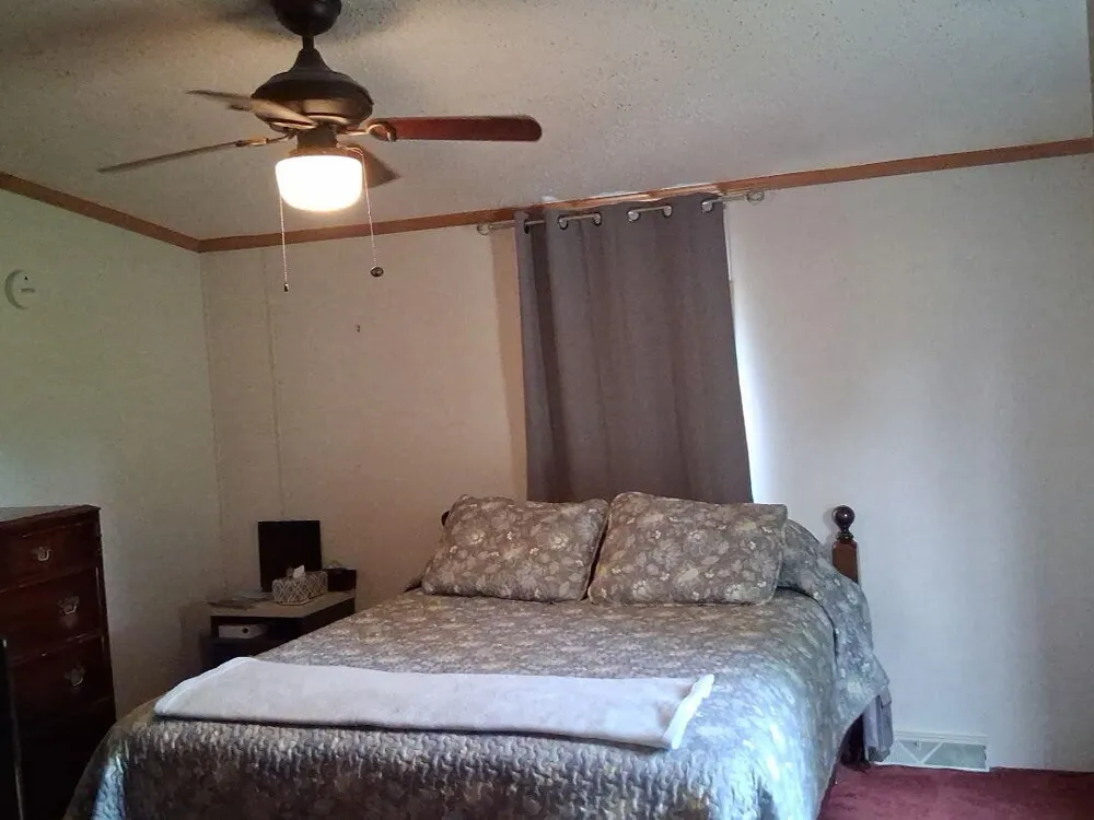 1172 Greenville Road Pine Township, MI 48888