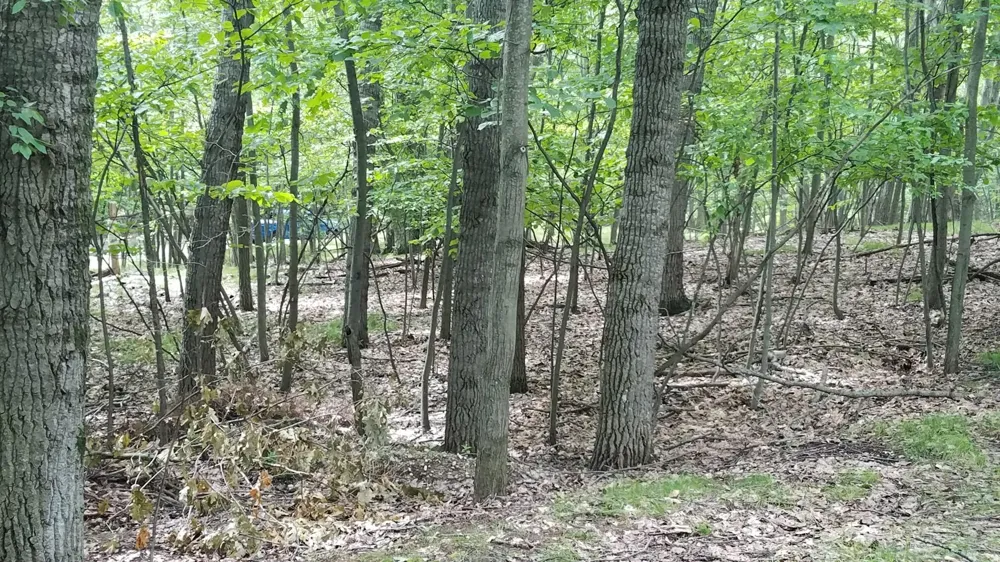 11010 Shawnee Trail ##229 Stanwood, MI 49346