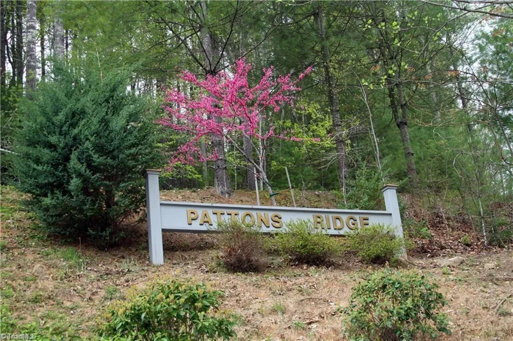 6 Laurel Road Purlear, NC 28665