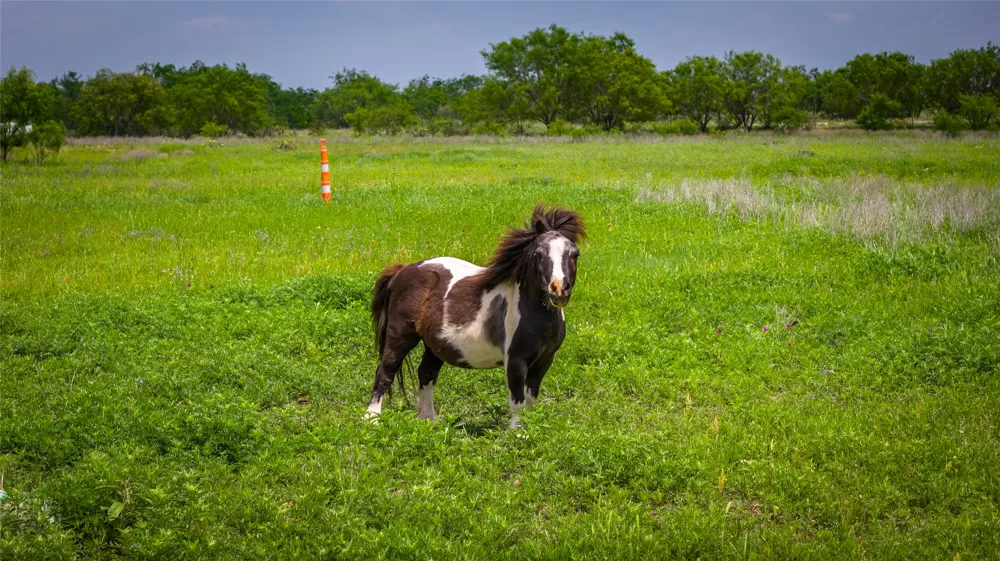 19815 Farm to Market 500 Richland Springs, TX 76871