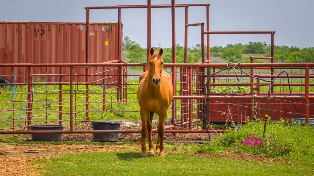 19815 Farm to Market 500 Richland Springs, TX 76871