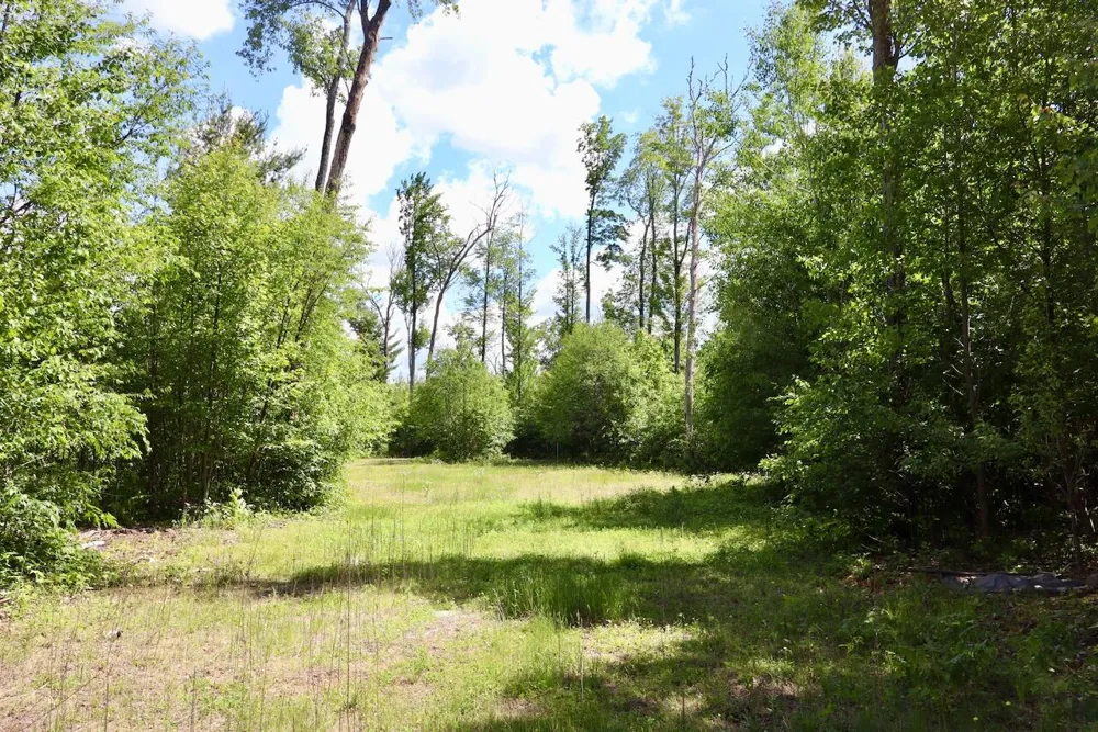 4473 Hamilton Drive Harrison, MI 48625