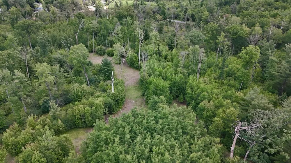 4473 Hamilton Drive Harrison, MI 48625