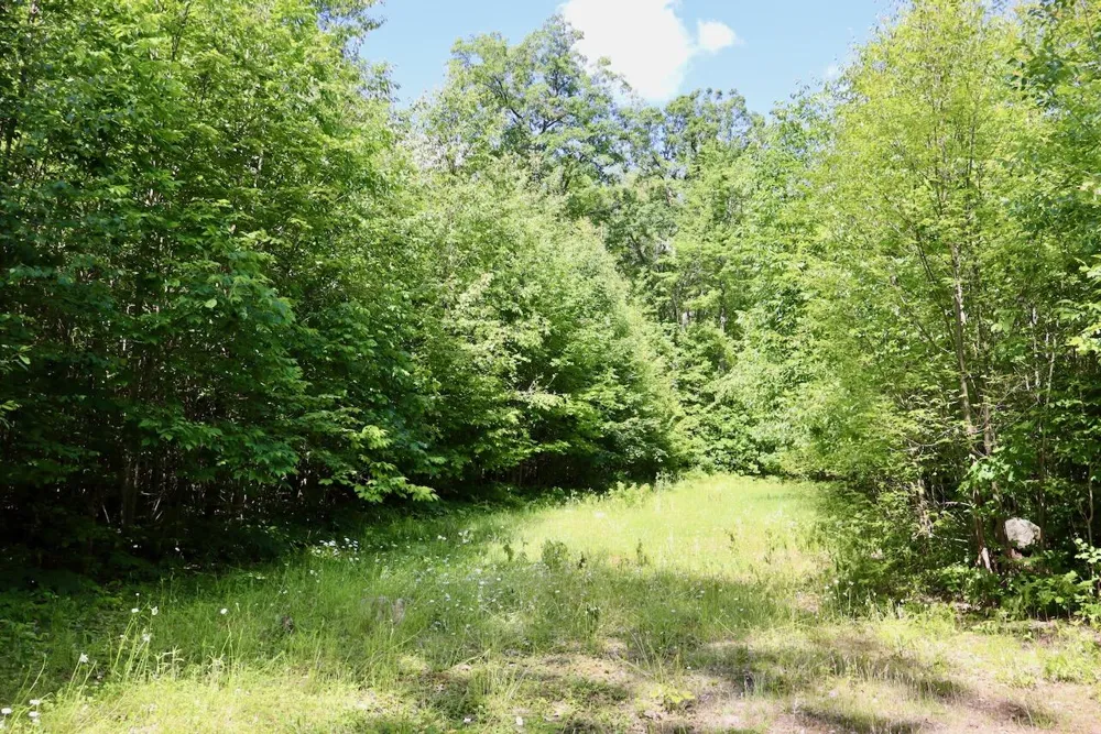 4473 Hamilton Drive Harrison, MI 48625
