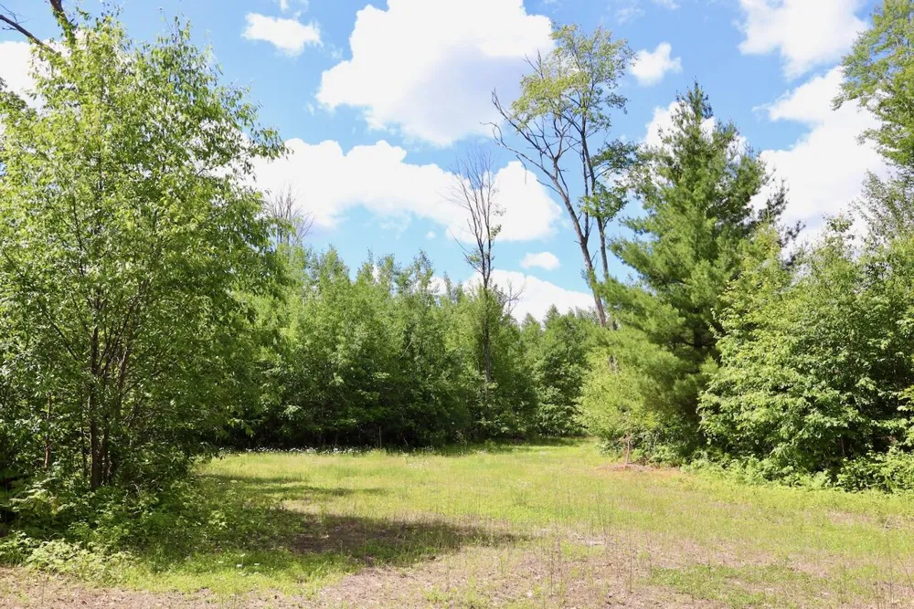 4473 Hamilton Drive Harrison, MI 48625