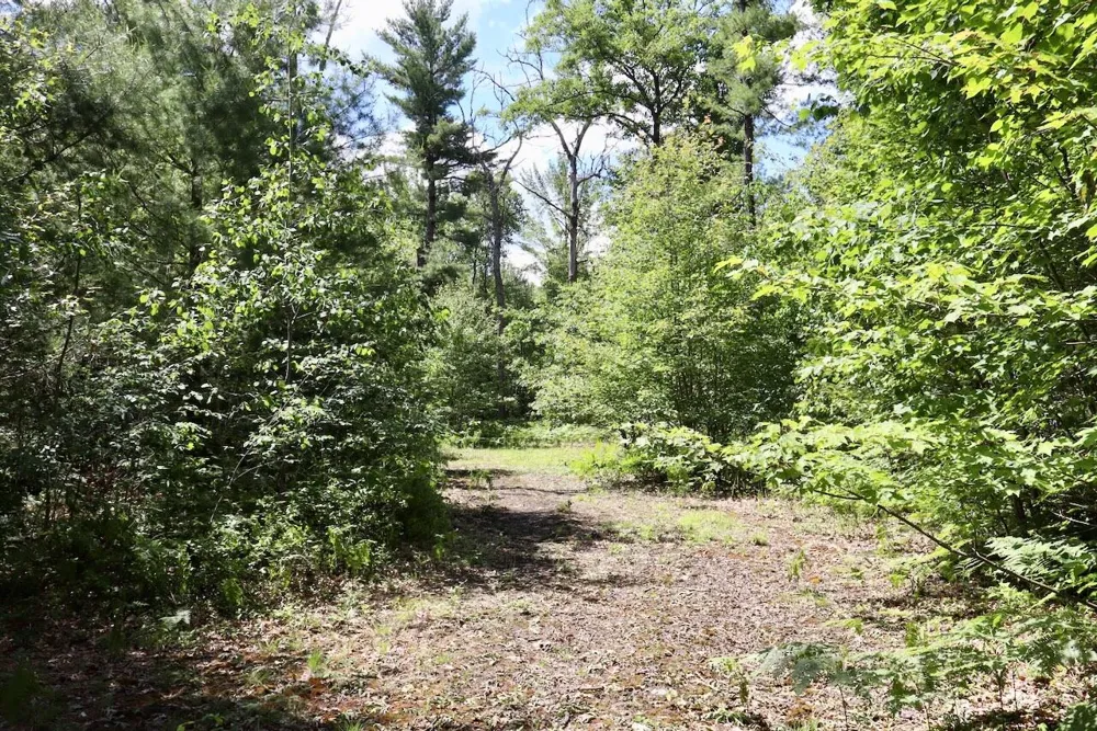 4473 Hamilton Drive Harrison, MI 48625