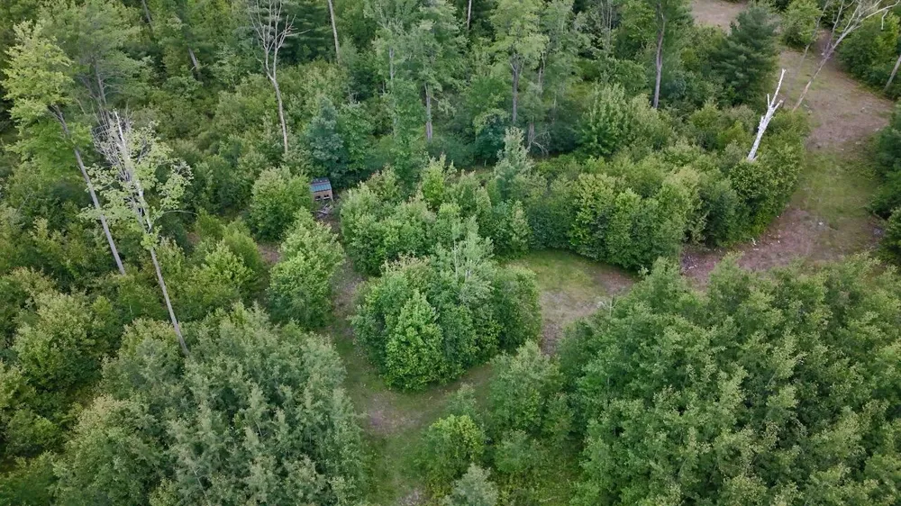 4473 Hamilton Drive Harrison, MI 48625