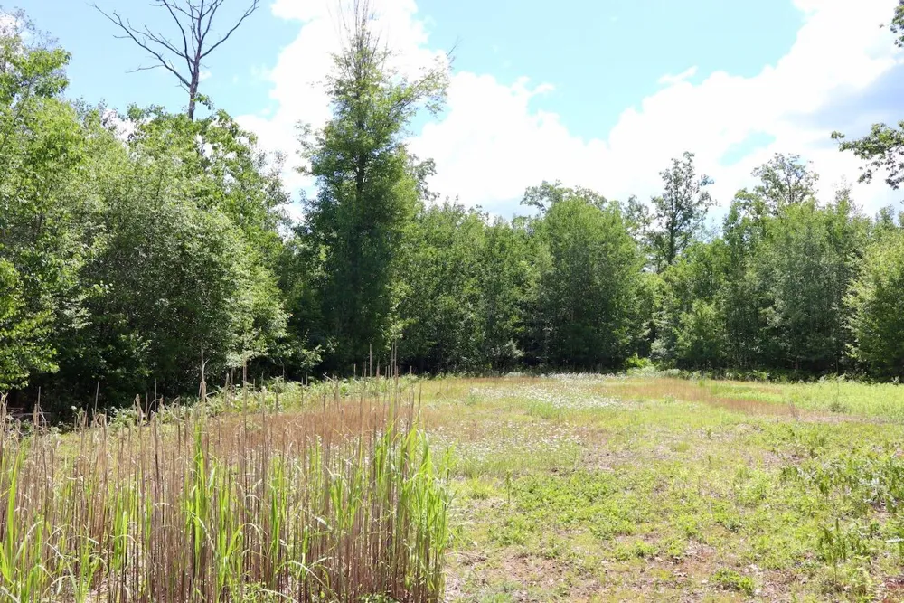 4473 Hamilton Drive Harrison, MI 48625