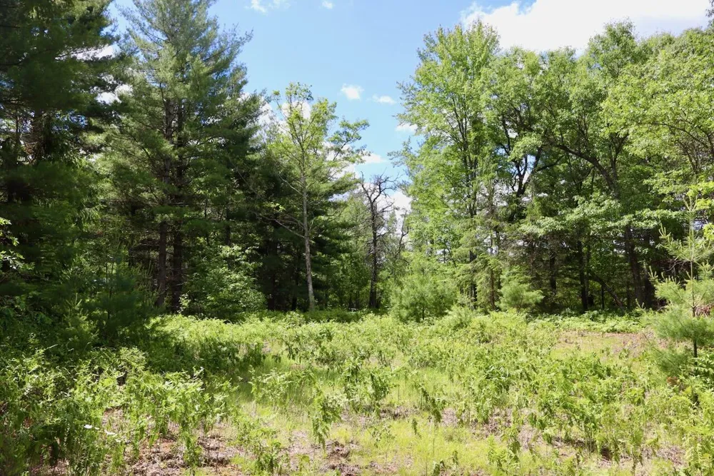 4473 Hamilton Drive Harrison, MI 48625