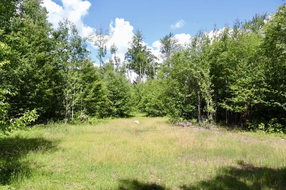 4473 Hamilton Drive Harrison, MI 48625