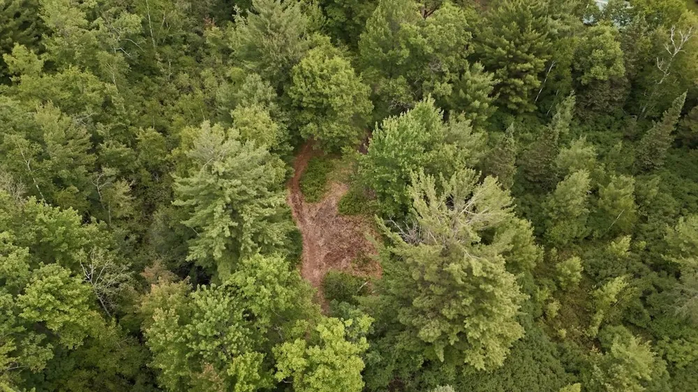 4473 Hamilton Drive Harrison, MI 48625