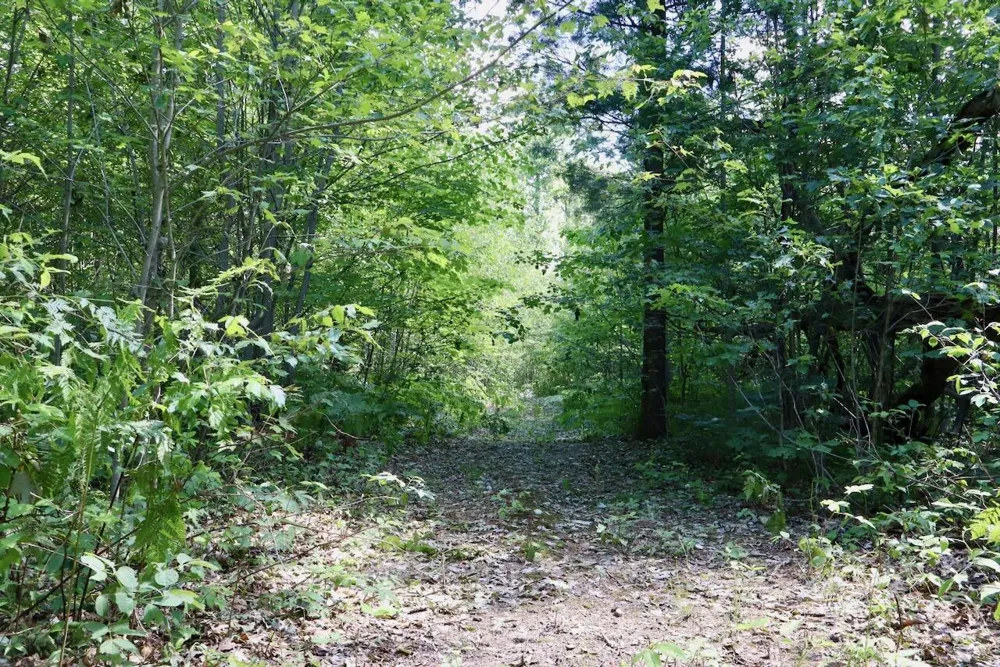 4473 Hamilton Drive Harrison, MI 48625