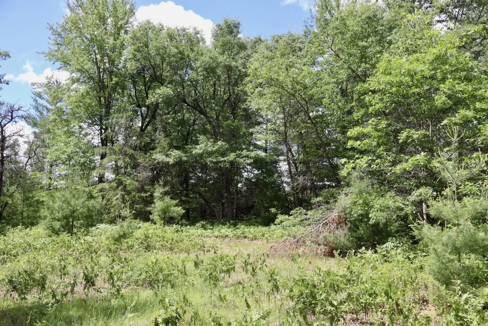 4473 Hamilton Drive Harrison, MI 48625