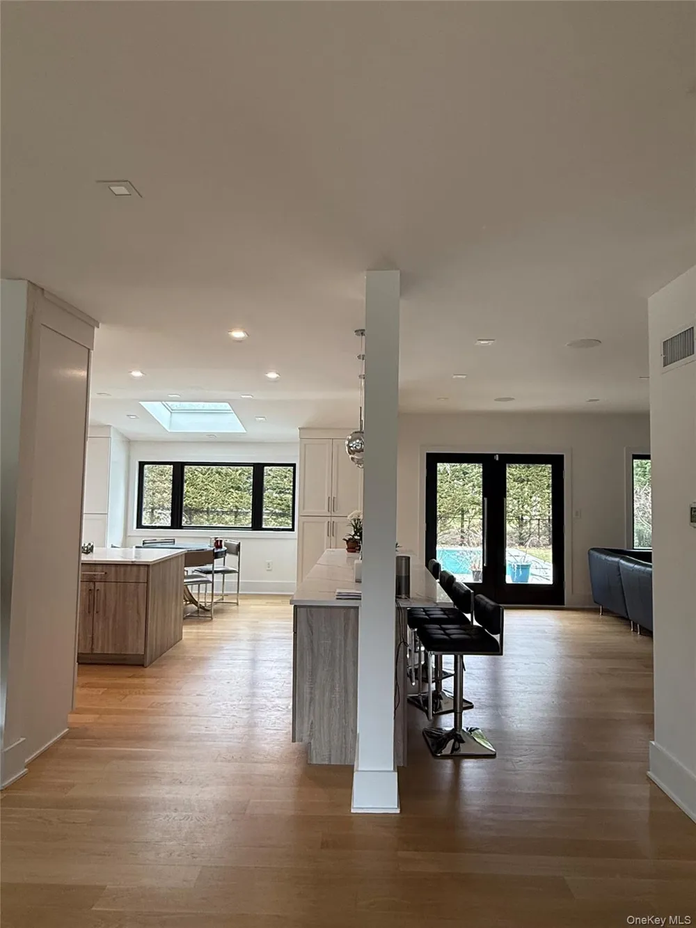 43 Marian Lane Jericho, NY 11753