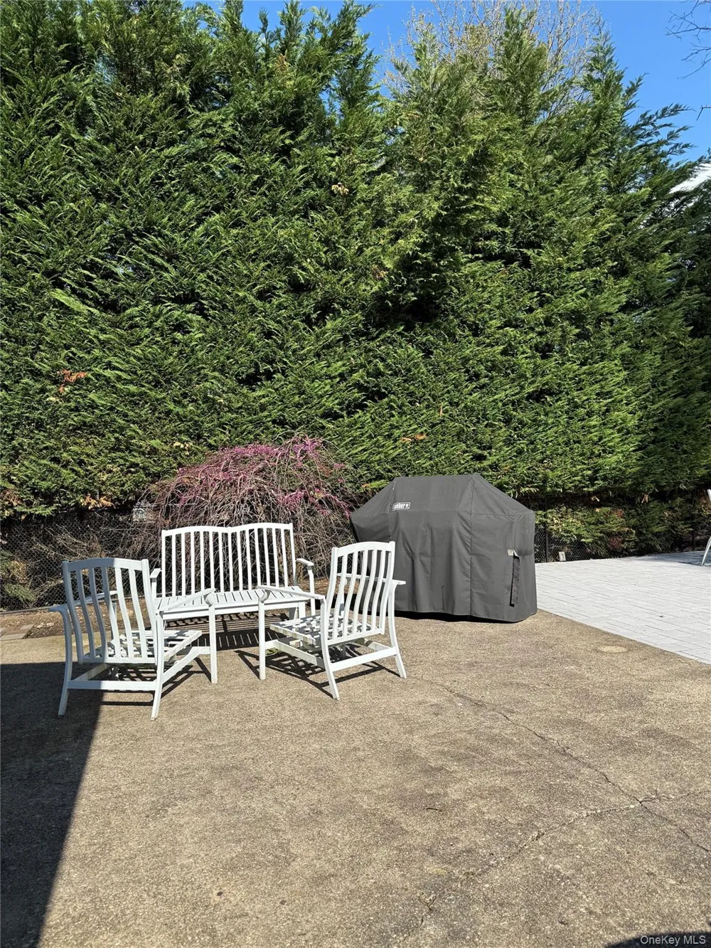 43 Marian Lane Jericho, NY 11753
